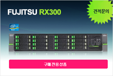 FUJITSU RX300 Server
